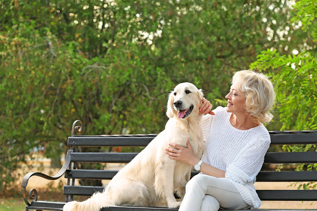 photo of a Senior woman sitting wtih a dog in a park, recently divorced as a senior, often referred to as a grey divorce